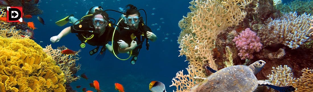 A couple scuba diving together with interlocked arms, holding each other closely, surrounded by vibrant sea life.  